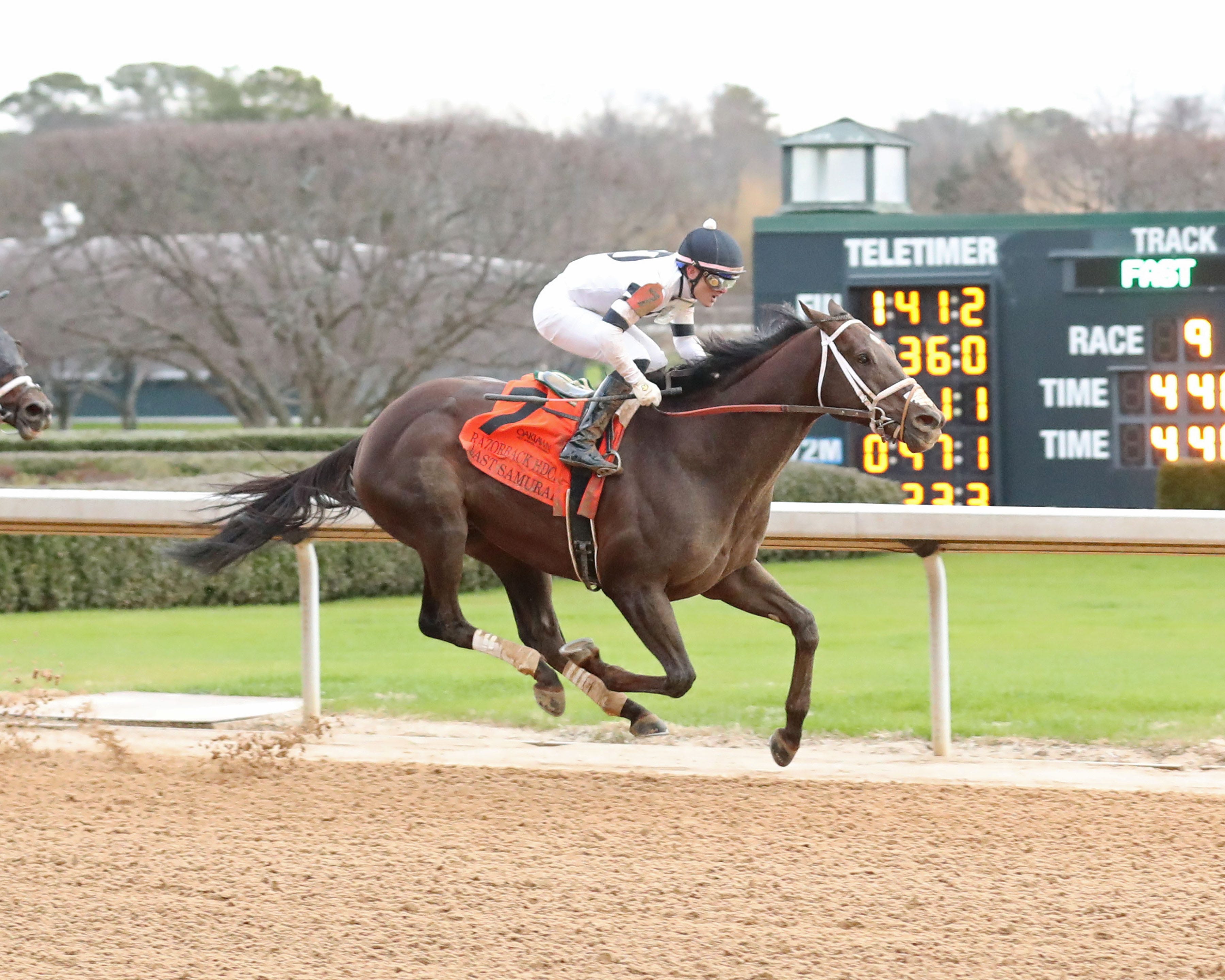 Last Samurai runs down West Will Power in Razorback Handicap